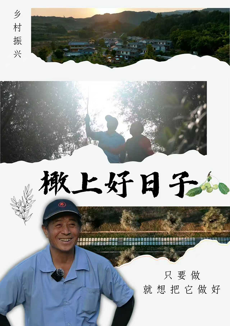 《橄上好日子》在第二届 “京彩台湾”两岸青年短片征集活动荣获三等奖